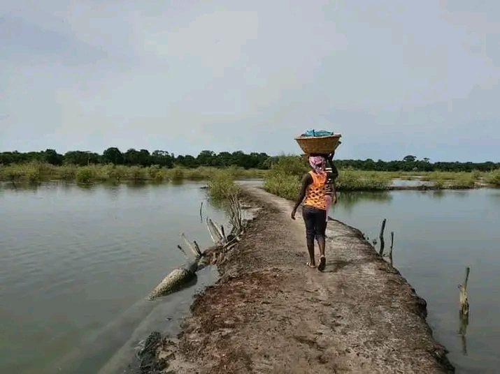 JOUR 12 : Ziguinchor – Brin 