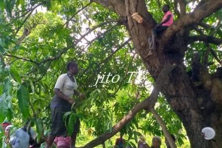 TAMBACOUNDA-KEDOUGOU-CASAMANCE-FALEME 15 JOURS DE DECOUVERTE