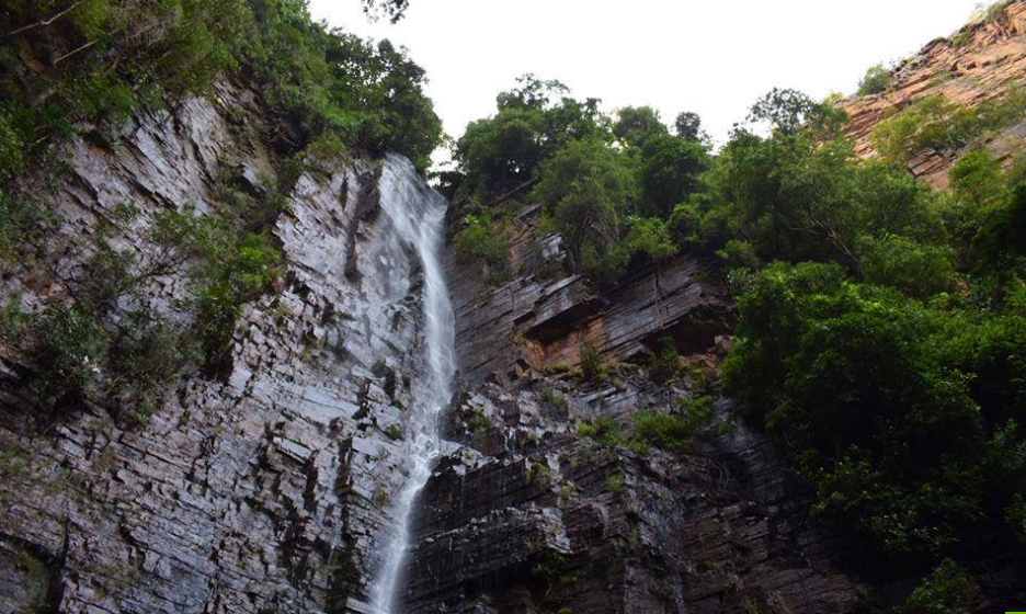 Jour 4 : Decouverte et safaris photos à la Cascade de Dindefelo